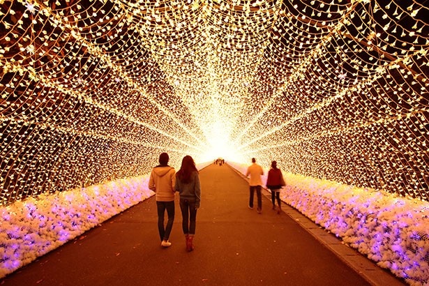 温かみのある電球色を花形のソケットで包んだ光のトンネル。毎年人気の高いスポットだ