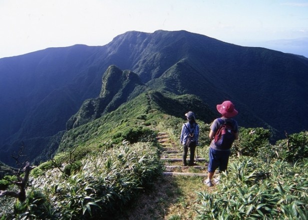 イルカのイメージが強いが、山歩きも魅力的な御蔵島