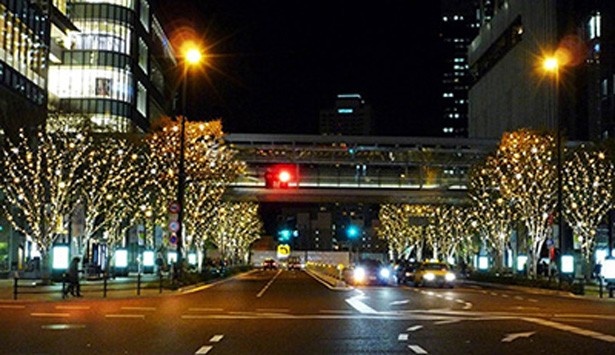 けやき並木のイルミネーション ※写真は2014年開催時の様子