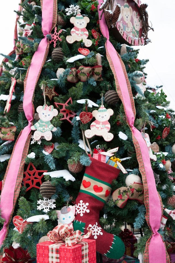 ディズニーXmasパーク風景2015 10/40