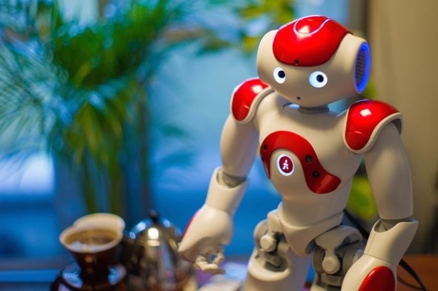 【写真を見る】なでると仲良くなれるロボットまで!? フランスのAldebaran Roboticsが開発した「NAO」　写真提供：ロボットスタート株式会社