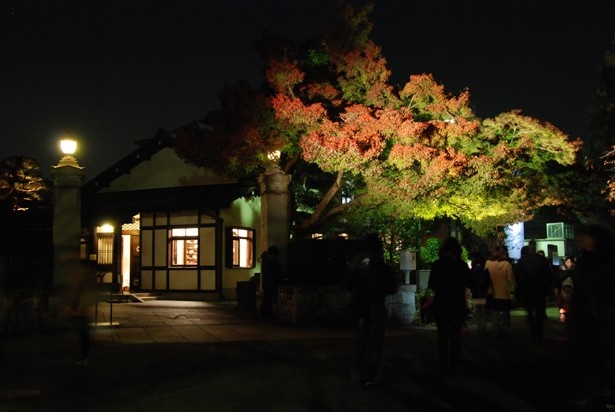 紅葉した木と三井邸のライトアップ(過去開催の様子)