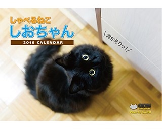 カレンダー発売！人気猫しおちゃんと365日一緒