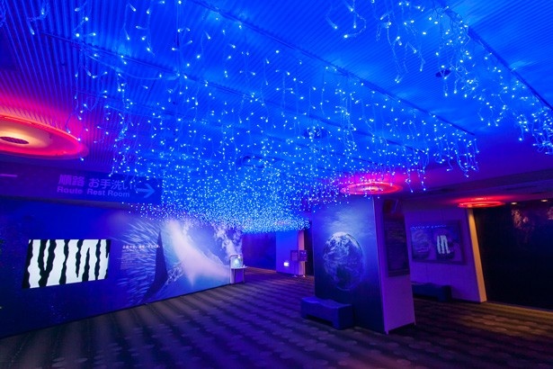 海遊館エントランスの“つららアーチ”。約50mに渡って青いイルミが周囲を照らす