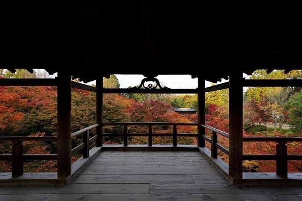 8位の大本山 東福寺。圧巻の紅葉が魅せる日本屈指の渓谷美