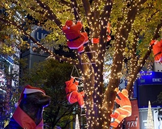 “渋谷系音楽”と連動したクリスマスイルミネーション
