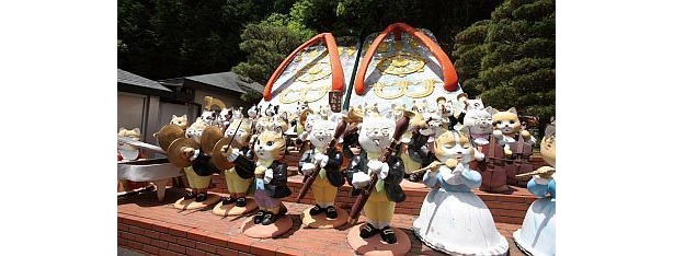 子供たちのハートをつかむネコのオーケストラ