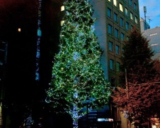 都内最大級の“クリスマスツリー”が浅草橋に登場！