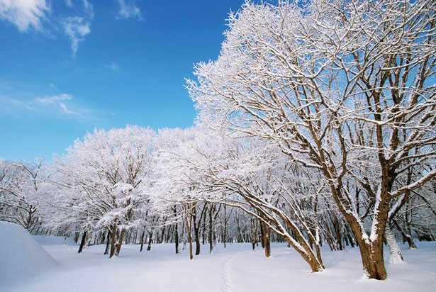 雪化粧は、冬ならではの絶景（大阪・金剛山）