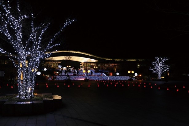 入口の正門から公園東口は、建物や木々に取り付けられたイルミネーションでお出迎え