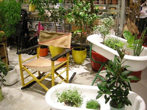 ミニバスタブにディスプレイされた多彩な観葉植物(GEORGE'S)