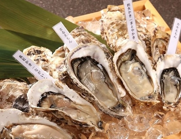 【写真を見る】最高ランクのカキは生で食したい逸品