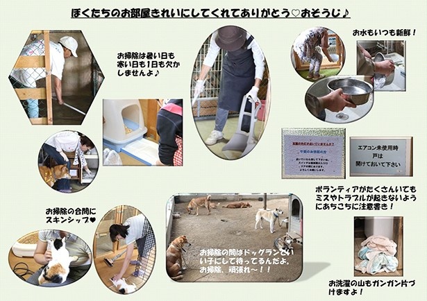 【写真を見る】日々の活動の大変さは経験しないとわからない(パネル展の活動報告から)