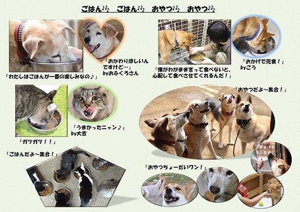 人と動物の共生を目指す（パネル展の活動報告から）