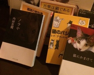 新宿三丁目の“猫文学”を楽しめる文壇バーとは？