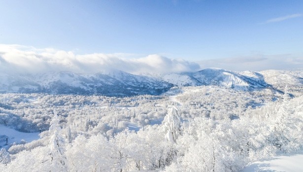 【写真を見る】晴れた日は、青空と白い霧氷のコントラストが美しいキロロスキーリゾートの風景