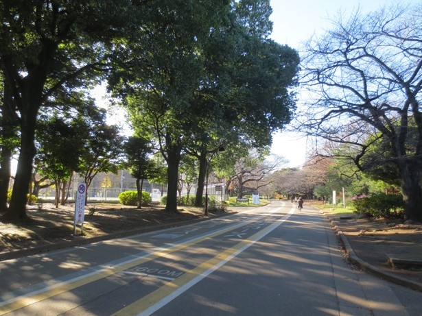 サイクリングコースやランニングコースも(駒沢オリンピック公園)