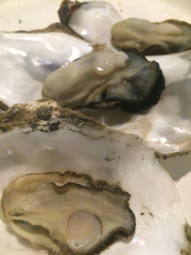 缶のなかで酒蒸しされたカキ。旨味がぎゅっと閉じ込めれていてぷりぷりの食感