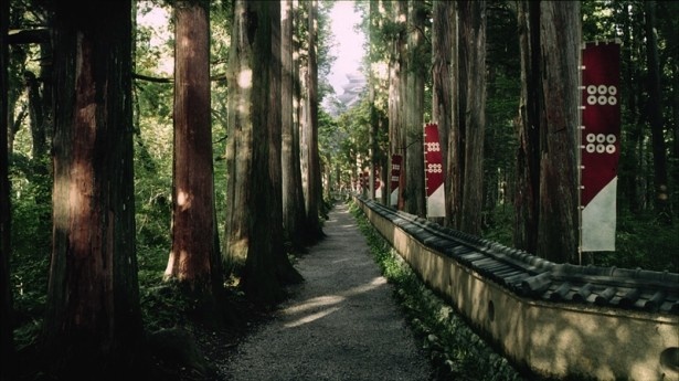 巨大な杉が立ち並ぶ戸隠神社・奥社(長野県長野市戸隠)の参道