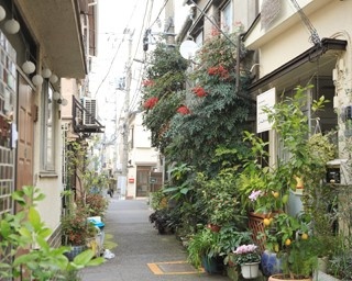 個性的なカフェでひと休み！散歩したくなる街・千駄木