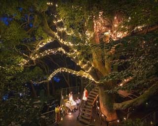 星野リゾートが演出する幻想的な「夜の森ピクニック」