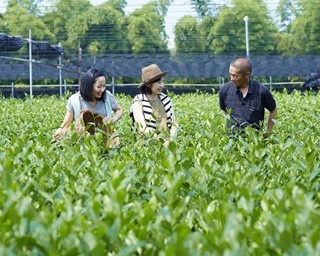 最高のお茶を求める旅！京都で“日本茶ツアー”