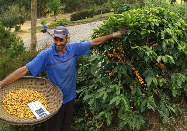 咲くやこの花館のスタッフによる、本場ブラジルで見てきた農園の話も聞ける！