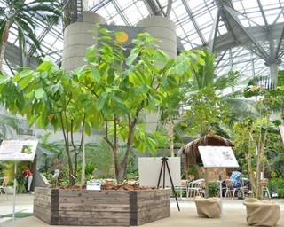 カカオ＆コーヒーを“あったか植物園”で楽しもう！
