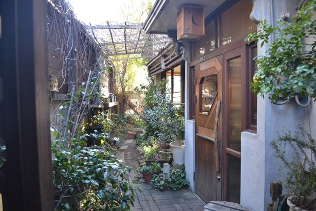 草木が飾られた庭を店内からも眺められる。まるで異世界に迷い込んだような気分に(「スパイスカフェ」)