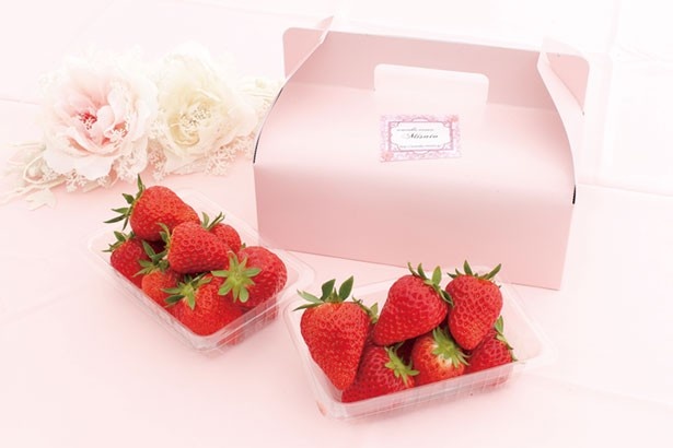 【写真を見る】「うららか・つみつみ園」ジュエリーいちごは、1パック(300g)を500円で持ち帰りOK。別途108円で、箱に入れてもらえるのでプレゼントにも最適！