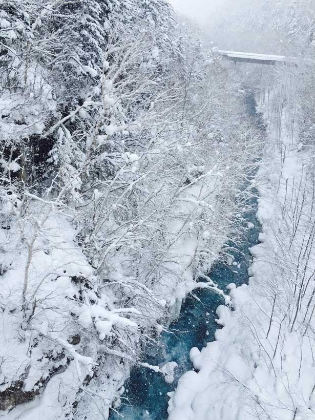 ブルーリバーとも呼ばれる美瑛川。白い雪と青い水のコントラストが美しい