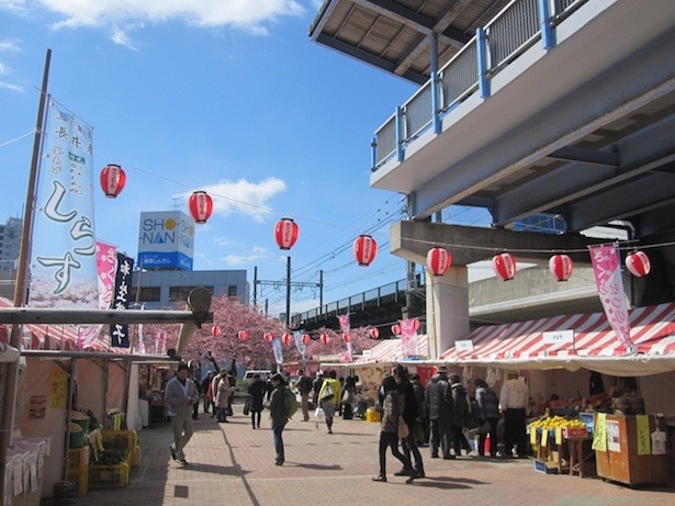 三浦海岸駅前にはテント村が開設。地元の名物であふれかえる
