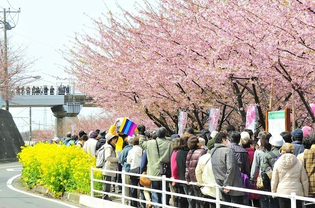 会場は混雑が予想されるので、公共機関での来場を