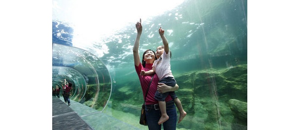 7/18（土）、長崎一の水族館「海きらら」がOPEN