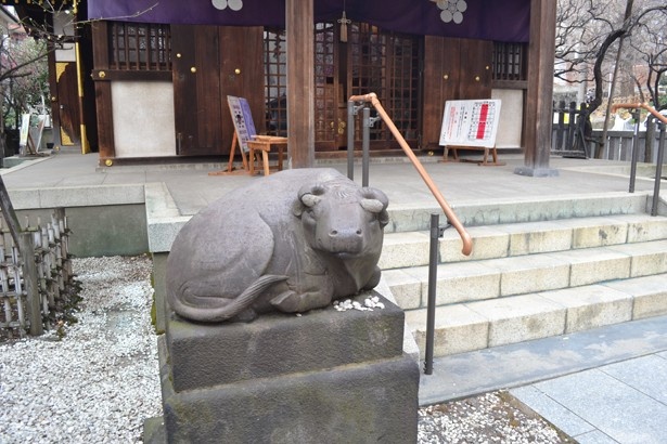 狛犬ならぬ“狛牛”がお出迎え。天神様をまつるすべての神社にあるそう(「牛天神 北野神社」)