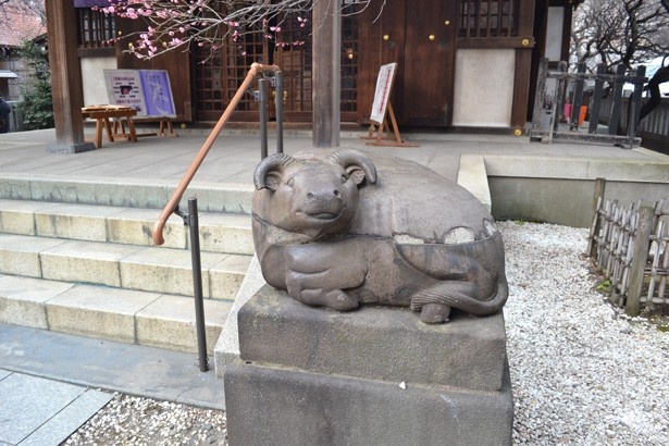 右側にも表情と向きの異なる“狛牛”が鎮座。愛らしい姿にほっこり(「牛天神 北野神社」)