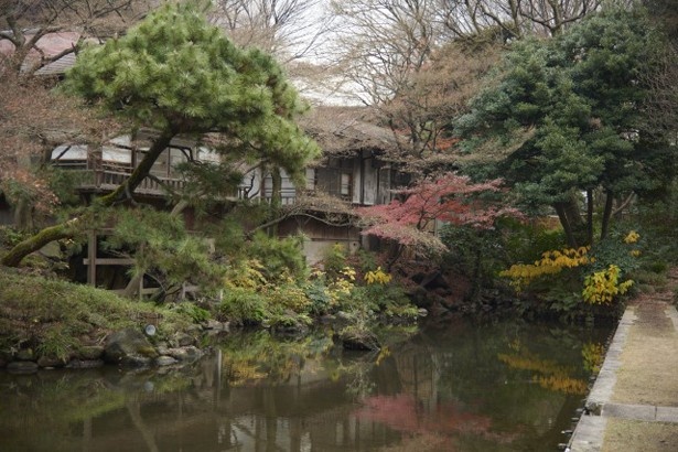 季節ごとに咲く花や、紅葉も見どころの一つ(「小石川後楽園」)
