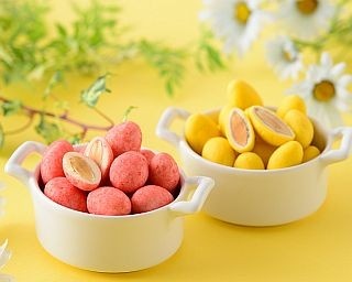 ピンク＆イエロー！春色アーモンドショコラが限定発売