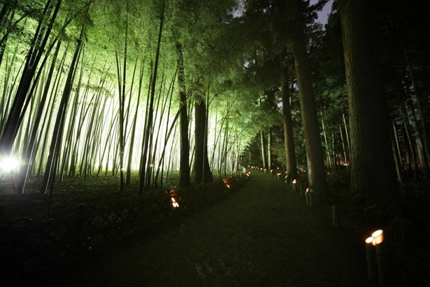 偕楽園の孟宗竹の中にキャンドル型のLEDライトを入れた「竹キャンドル」
