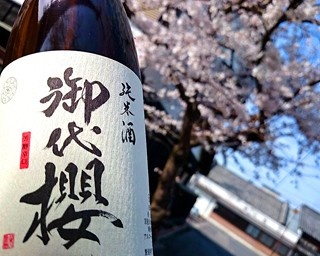 100銘柄以上！新橋の“日本酒フェス”で飲み比べ