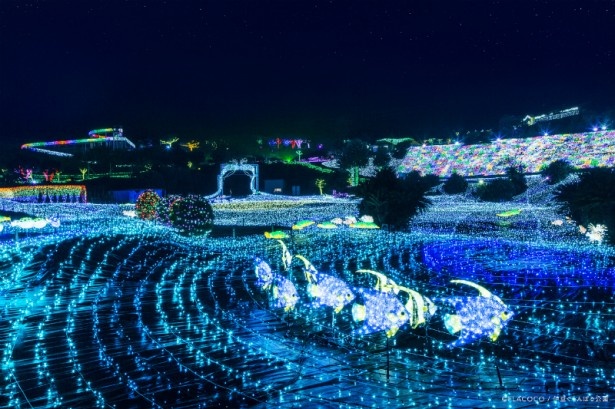 幻想的な光の饗宴。期間の延長は夜景好きには朗報！