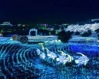 伊豆ぐらんぱる公園50周年イルミが大好評で期間延長