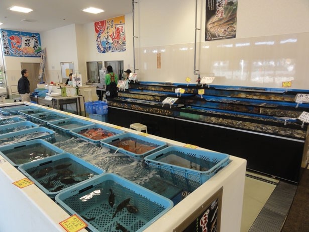 新鮮な魚を購入できる「姫路とれとれ市場」
