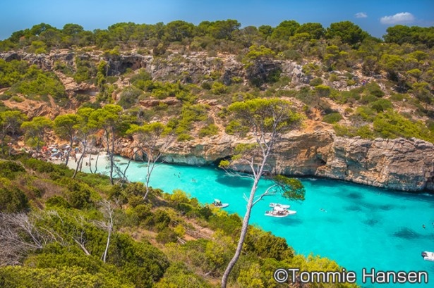 西地中海の青い海に浮かぶ島「スペイン・マヨルカ島」
