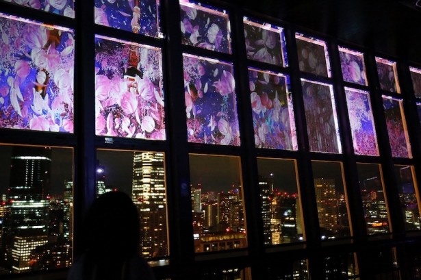プロジェクションマッピングでは、窓の上2枚に夜桜の映像が映し出される