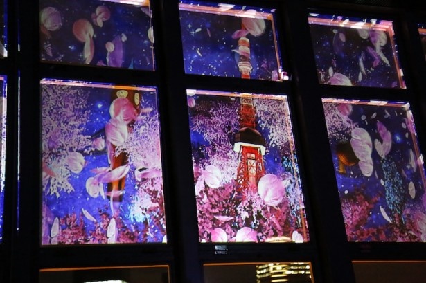 展望台の全方向に映し出される映像で、東京で一番早い夜桜を楽しめる