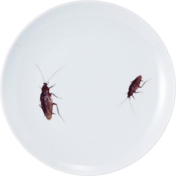 キモい生き物の代表ゴキブリがお皿に！「ゴキブリ皿」