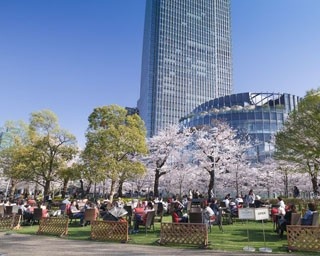 「Midtown Blossom 2016」で春を堪能！