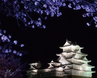 姫路城で夜桜や地酒が堪能できる春イベント開催！