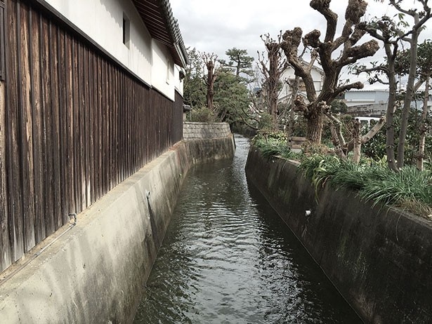 「高石まちあるきツアー」では高石ならではの珍百景を発見しよう
